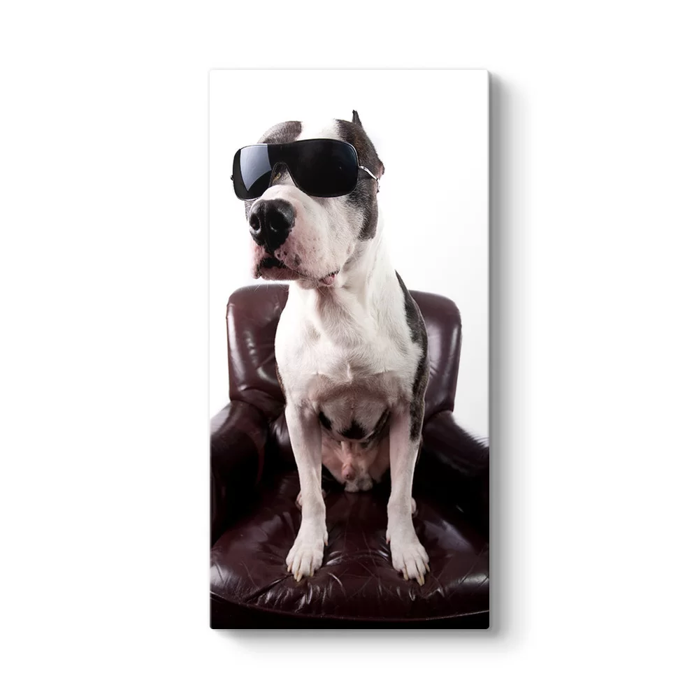 Gözlüklü Pitbull Tablosu - Model 7